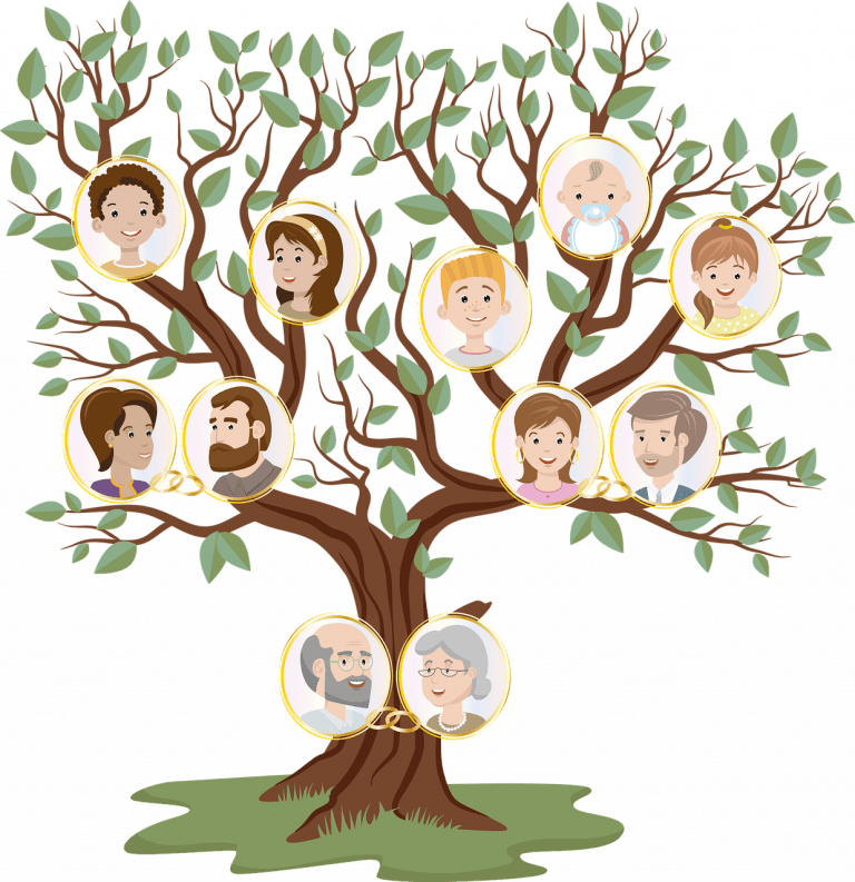 genealogy, family tree, lineage