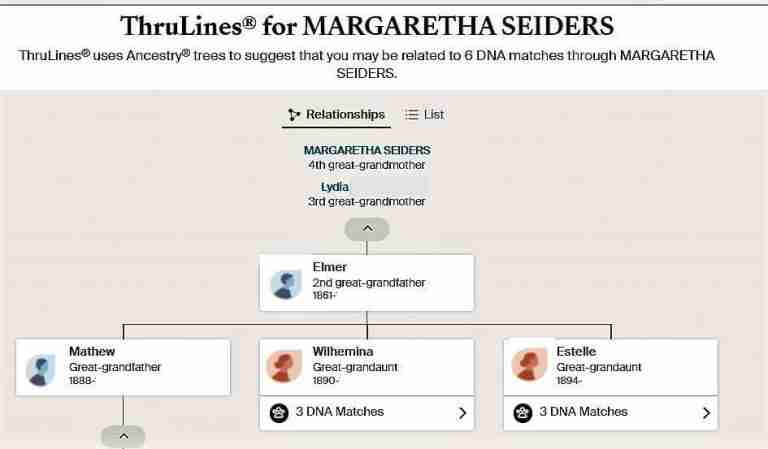 Thrulines Margaretha Seiders showing possible relationship to DNA cousins
