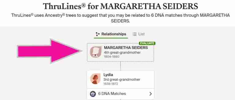 Thrulines for Margaretha Seiders Evaluate