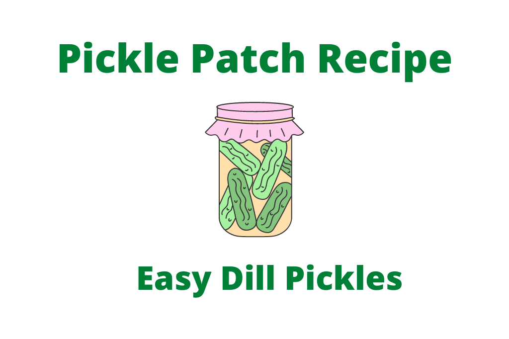 Pickle Patch Recipe Easy Dill Pickles Jar of Dill Pickles