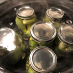 Pickles in water bath canner