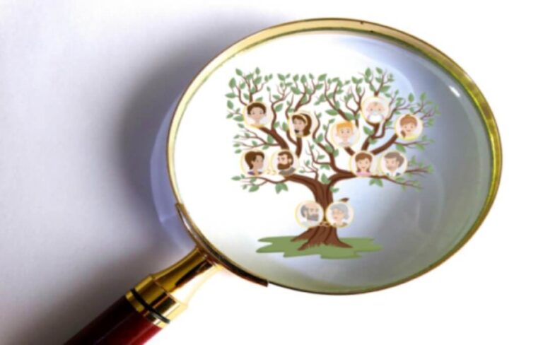 Magnifying glass family tree