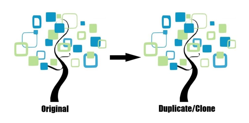 Ancestry tree and Duplicat/clone tree