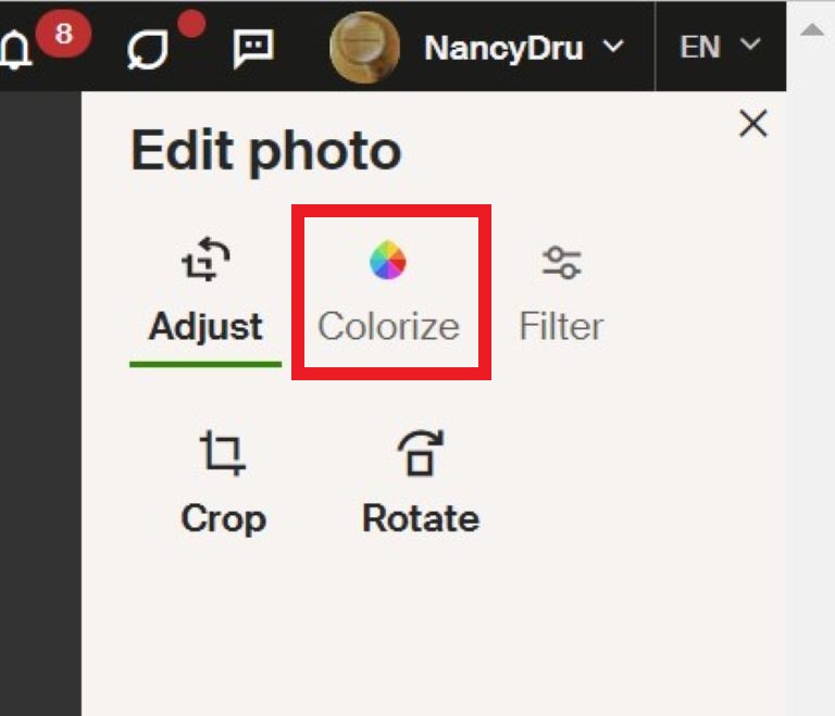 Edit Photo colorization icon selected