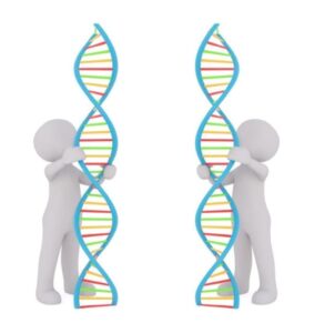 Two DNA People
