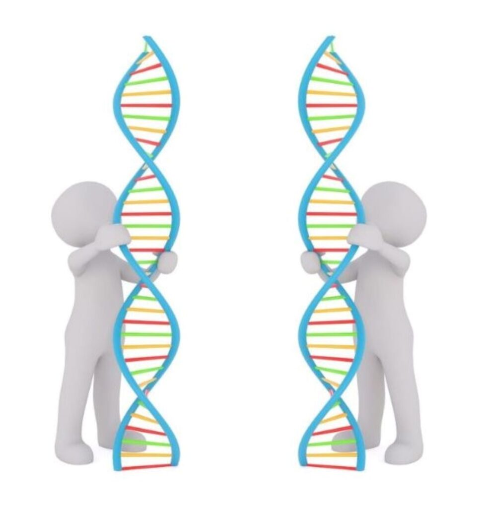 Two DNA People