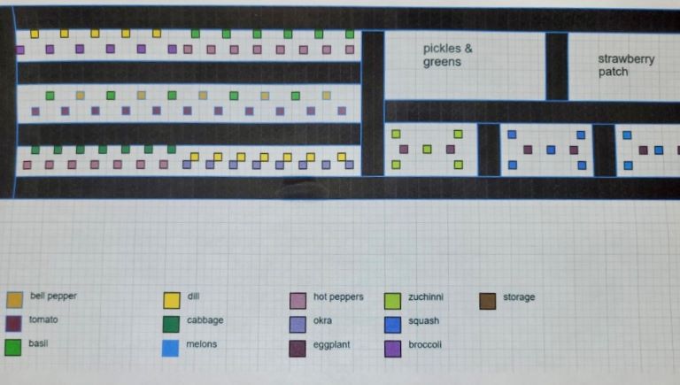 Garden Bed design