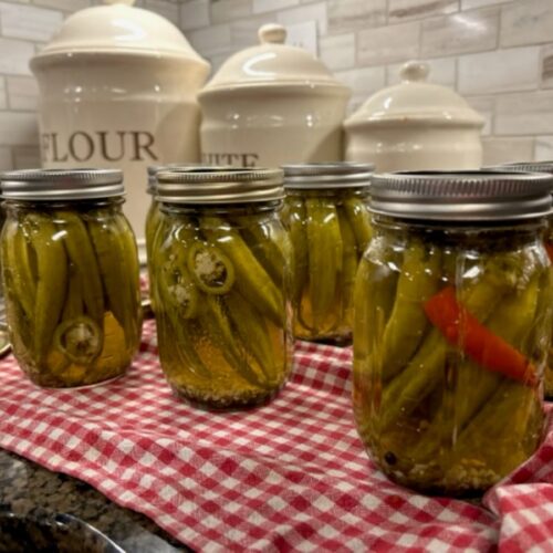 Home Canned Spicy Pickled Okra