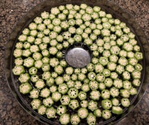 Sliced okra on Food Dehydrator tray