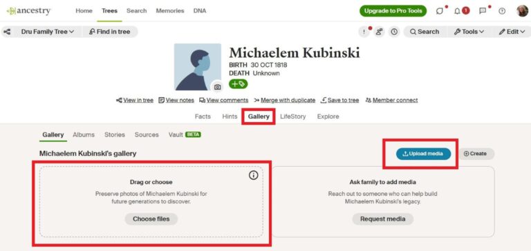 Ancestry Gallery Page for Michaelem Kubinski