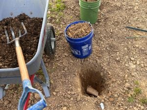 Planting holes