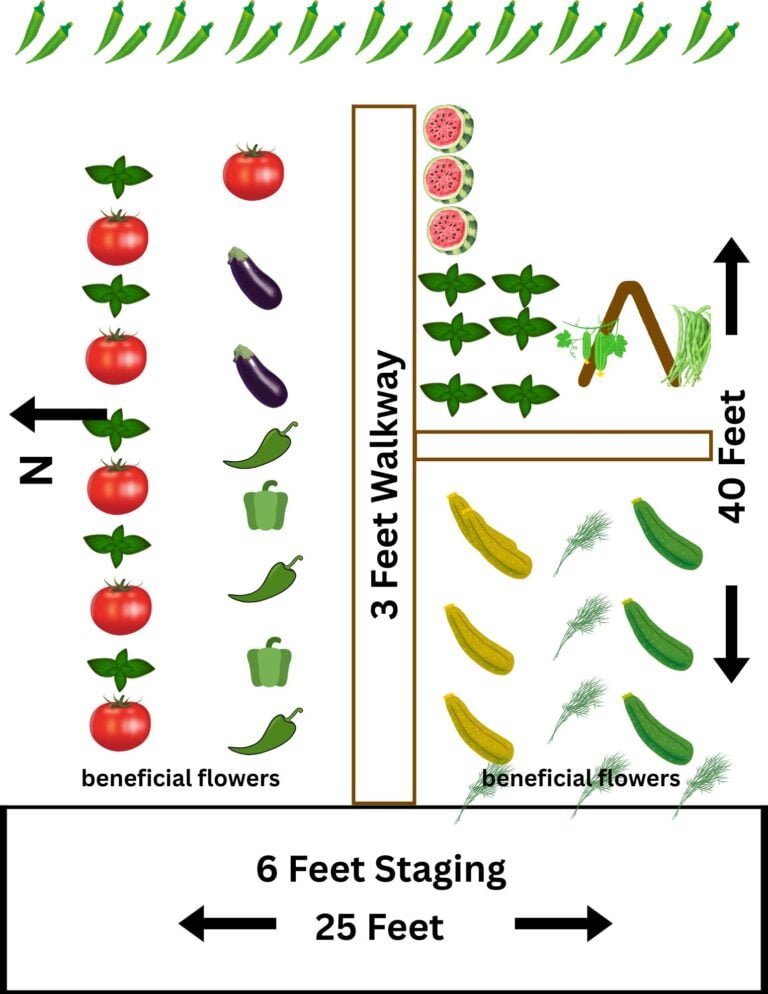 Learning Plot 221 Diagram