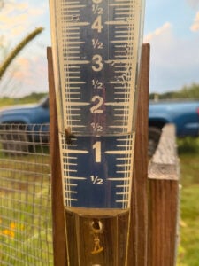 1.3 inches of rain in the rain gauge.