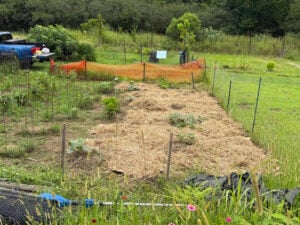 A long shot showing weed whacker some floweres and how the cardboard is covered with the straw.