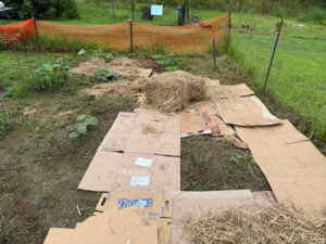 Laying the cardboard down.