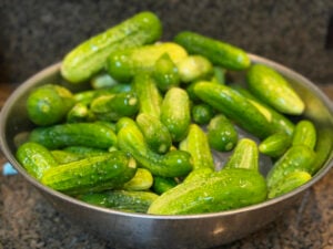 Washed and trimmed cucmbers