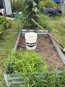 Getting Weeds out of raised bed.