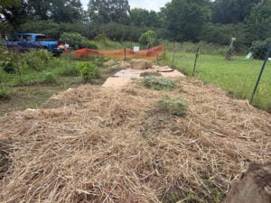 Laying the straw over the cardboard