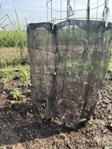My shade cloth contraption