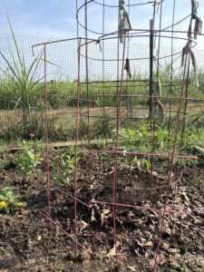 Red Interlocking Trellis