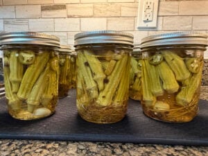 Spicy Pickled Okra