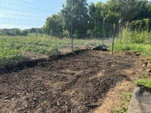 Before tilling