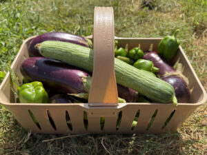 Harvest