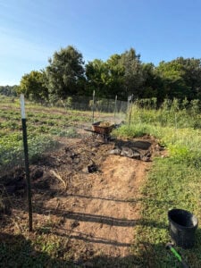 removing the landscape fabric