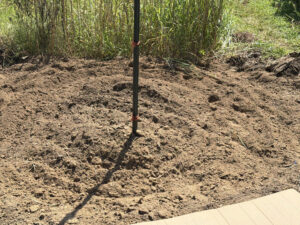Tilled 4' x 6' bed dedicated to dill, which you can see in the background.