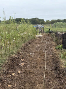 Back 40 old tomatillos bed tilling