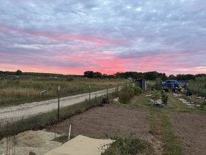 Sunday Sunrise